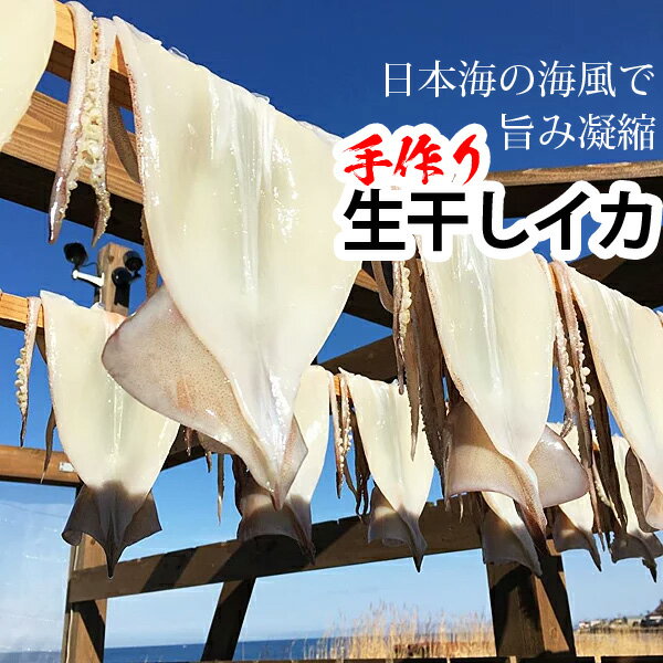 赤羽屋磯辺商店 青森の味 【産直 冷凍】真空冷凍 生干しイカ 特大 200g以上 特産品