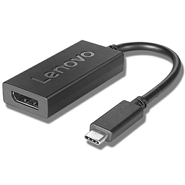レノボ・ジャパン 4X90Q93303 Lenovo USB Type-C - DisplayPortアダプター 目安在庫=△[メール便対象商品]