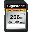 Gigastone SDXCカード 256GB V30 UHS-1 U3 A1 1枚(GJSX-256GV3A1) 目安在庫=○