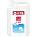 レキットベンキーザー・ジャパン 泡ミューズ オリジナル つめかえ用 特大 4.8L 1個(412121) 目安在庫=○