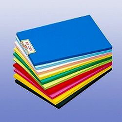 ���ƥå� �˥塼���顼R �ͤ��� �ߤɤ� 1�ѥå�(100��)(4NCR-321) �ܰº߸�=��