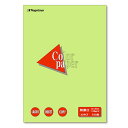 長門屋商店 Color Paper A3 特厚口 うぐいす 1冊(100枚)(ナ-1408V) 目安在庫=○【6月末までポイント10倍】