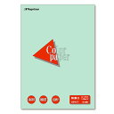 長門屋商店 Color Paper B5 特厚口 浅黄 1冊(50枚)(ナ-4411) 目安在庫=○【6月末までポイント10倍】