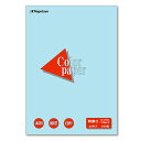 長門屋商店 Color Paper A3 特厚口 空 1冊(100枚)(ナ-1412V) 目安在庫=○【6月末までポイント10倍】