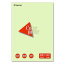 長門屋商店 Color Paper B5 特厚口 若草 1冊(50枚)(ナ-4406) 目安在庫=○【6月末までポイント10倍】