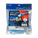 【P5S】サンワサプライ カテゴリ6A LANケーブル 2m ブルー KB-T6ATS-02BL(KB-T6ATS-02BL) メーカー在庫品