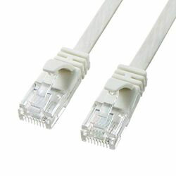 【P5S】サンワサプライ カテゴリ6AフラットLANケーブル 2m ホワイト KB-FL6A-02W(KB-FL6A-02W) メーカー在庫品