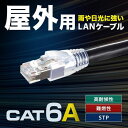 【P5S】サンワサプライ カテゴリ6A屋外用LANケーブル(KB-T6AAD-80BK) メーカー在庫品
