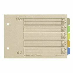 キングジム KING JIM キングジム カラーインデックス(KJ-904) 目安在庫=○[メール便対象商品]