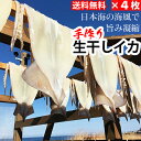 赤羽屋磯辺商店 青森の味 【産直 冷凍】真空冷凍 生干しイカ 特大 200g以上 4枚 4582390700082 4 特産品