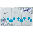 TPS ウエットティッシュ ボトル詰替 1袋(300枚:100枚×3パック)(TWT-100P3P) 目安在庫=○