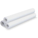 TPS 普通紙ロール(コアレスタイプ) A0ロール 841mm×60m 81.4g 1セット(3本)(IJLF81A0CL) 目安在庫=○