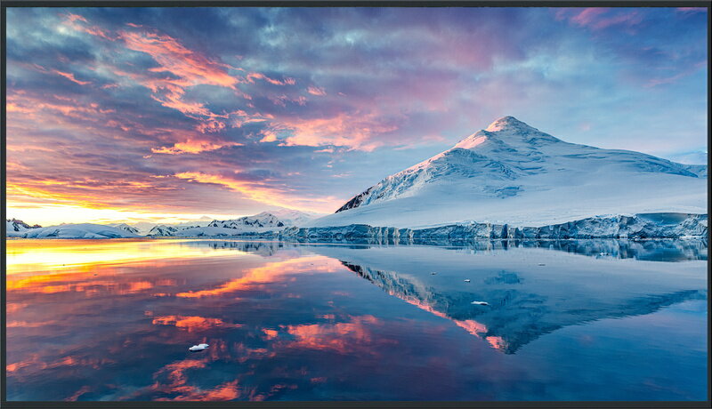 パナソニック Panasonic 55型4K液晶エントリーディスプレイ(TH-55FQ1J) 目安在庫=△