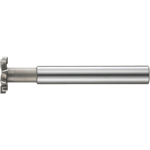 �ե������� ���󥰥������Ļ��T�����åȥ��å��� 19��4 1��(LS-STC-19X4) �ܰº߸�=��