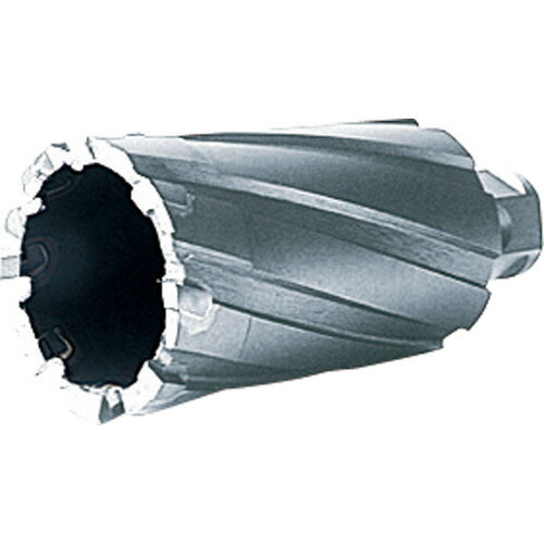 Rakuten - 大見工業 50SQクリンキーカッター 21.0mm 1本(CRSQ21.0) 目安在庫=○
