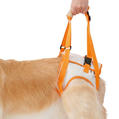 Other - ペティオ zuttone 老犬介護用 歩行補助ハーネス 後足用K 3L 1個(236310) 目安在庫=○