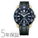 シチズン CITIZEN プロマスター PROMASTER エコ・ドライブ MARINE マリンシリーズ ダイバーズウオッチ 腕時計 BN0196-01L