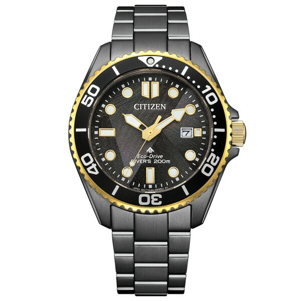 CITIZEN PRO MASTER シチズン プロマスター MARINE 世界限定6,700本 LIGHT in BLACK エコドライブ メンズ 腕時計 BN0264-53E お取り寄せ