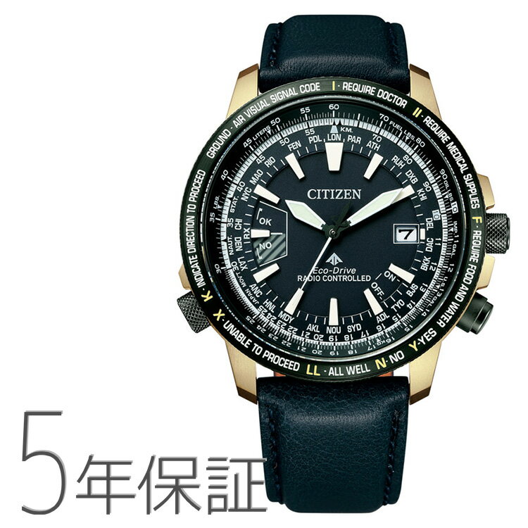 特価品 シチズン CITIZEN プロマスタ