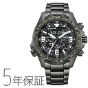 PROMASTER プロマスター シチズン CITIZEN LAND エコ・ドライブ 35周年記念限定 ジャングル 替えバンド付き JV1008-63E アナデジ メンズ 腕時計