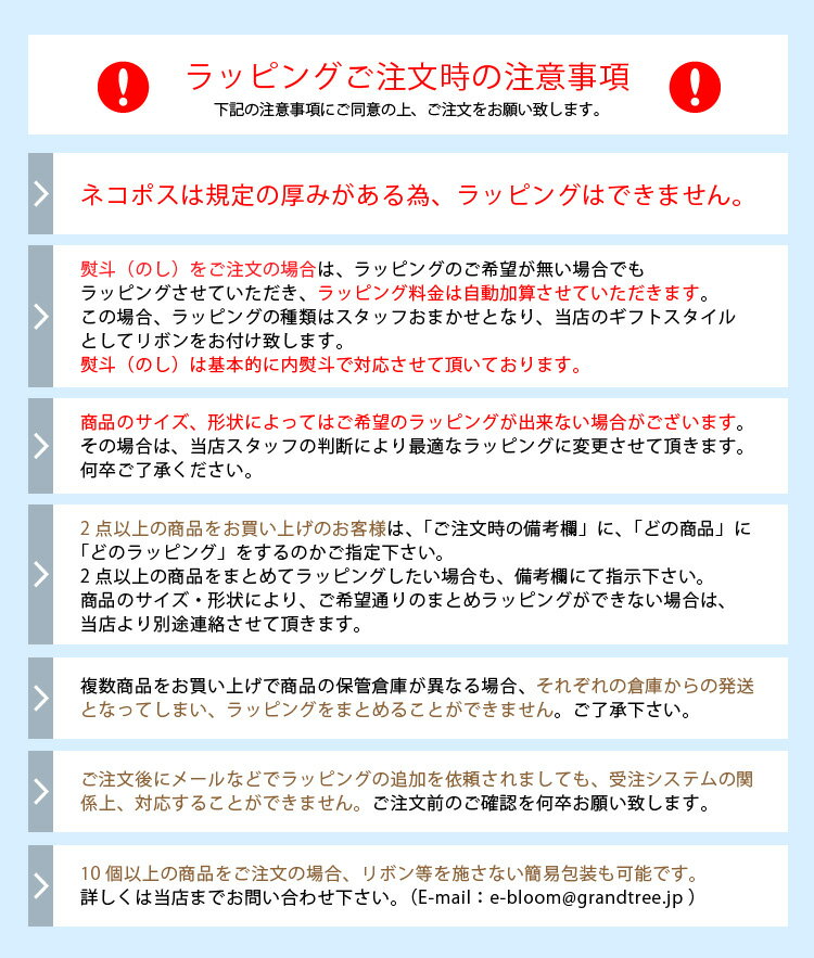 �͡����ۤ����ͤޤä����ե� ������ۤ�����Ũ�ʥ�åԥ󥰤Ƿ����פ��ޤ� e-Bloom�����٤��åԥ�