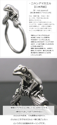 銀の蛙 ニホンアマガエルキーリング 銀の蛙 シルバー925 動物キーホルダー カエル 財布 ケース かえる キーホルダー 蛙 ブライトネスシルバー アマガエルのキーリング 銀の蛙 ニホンアマガエルキーリング 銀の蛙 シルバー925 動物キーホルダー カエル 財布 ケース かえる キーホルダー 蛙 ブライトネスシルバー アマガエルのキーリング