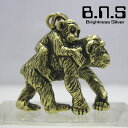 F̉ `pW[̐eqy_g@uX ^J brass (AސlAPan troglodytesAchimpanzeeA)