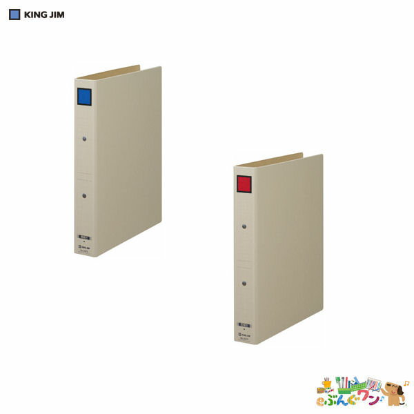 キングジム　保存ファイルドッチ A4S ＜タテ型・両開き＞　4073