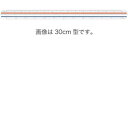 ウチダ(UCHIDA) 三角スケ−ル 建築士用 30cm 副尺なし 1-882-0601【4117551】