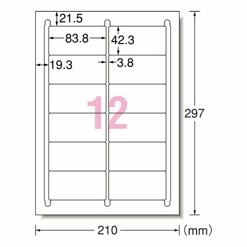 エーワン　ラベルシール〈プリンタ兼用〉＜A4判/12面/100枚入＞28844【13428844】