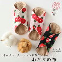 【10%OFFクーポン対象】(株)hanafu あたため布 華布 ≪椿柄≫ 愛媛 松山 おりものライナー コットン 布ナプキン