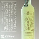 Eei Eei`Fb EG 500ml  L[ Q  yY  Mtg 蕨 v[g i 䒆  Ε