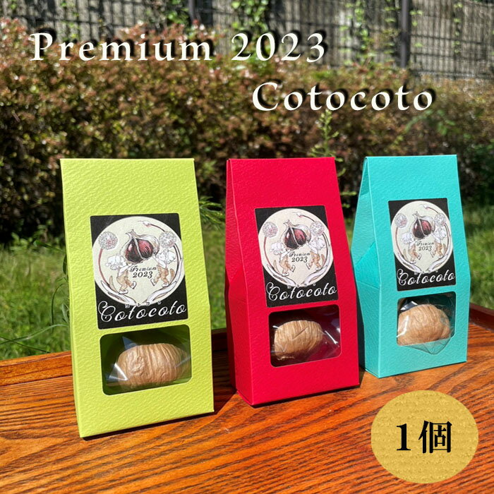 オムニテック・ジェイ・エム（株）　Premium　2023　Cotocoto 1個