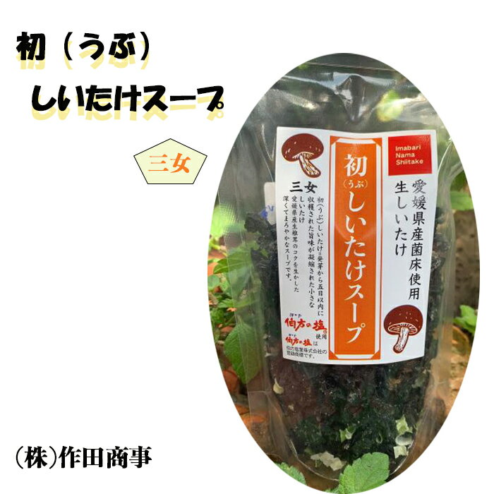 (株)作田商事 初(うぶ)しいたけスープ 愛媛 椎茸 しいたけ 栄養 スープの素