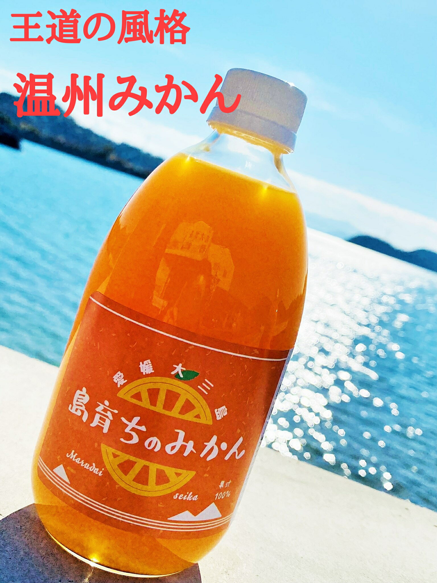 オレンジジュース (株)丸大青果 島育ち みかん ストレートジュース 500ml 12本　愛媛みかんジュース オレンジジュース ギフト