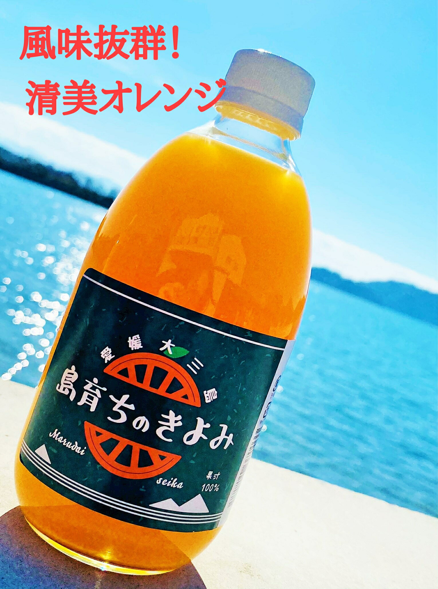 (株)丸大青果 島育ち きよみ ストレートジュース 500ml 12本 愛媛みかんジュース オレンジジュース ギ..