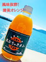 オレンジジュース (株)丸大青果 島育ち きよみ ストレートジュース 500ml 12本 愛媛みかんジュース オレンジジュース ギフト