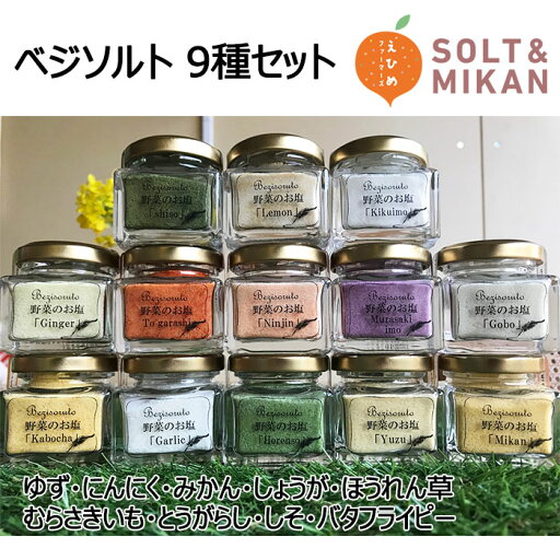ベジソルト 9種セット えひめ活き生きファーマーズ(株) 贈答用 お中元 御中元 プレゼント ギフト 御祝 焼き塩 塩 愛媛 お土産 ベジソルト 9種セット えひめ活き生きファーマーズ(株) 贈答用 お中元 御中元 プレゼント ギフト 御祝 焼き塩 塩 愛媛 お土産