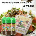 (有)うしろのしょうめんだあれ うしろのしょうめんだ〜れしんぐ3本セット 愛媛 ドレッシング 調味料 レモン 玉ねぎ