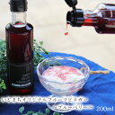 (株)糸プロジェクト いとまちオリジナルフルーツビネガー≪ブルーベリー≫ 愛媛 酢 お酢 飲む酢