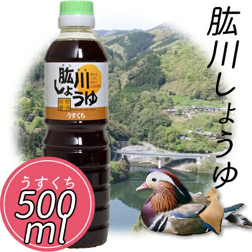 【500円OFFクーポン対象】(有)ひじかわ特産開発 肱川しょうゆ（うすくち）500ml≪熨斗対応不可≫