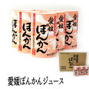 愛工房(株)ぽんかん125ml×30本