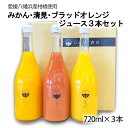 【500円OFFクーポン配布中!】(株)アゴラ じゅらす農房 みかん・清見・ブラッドオレンジジュース 720ml×3本セット 愛媛みかんジュース/オレンジジュース/夏特集
