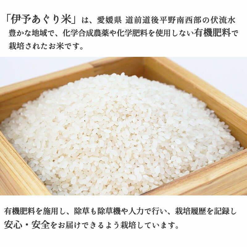 愛媛「愛媛県産ひめの凛精米5kg」 | 地域限定ご当地商品 愛媛「愛媛県産ひめの凛精米5kg」 | 地域限定ご当地商品