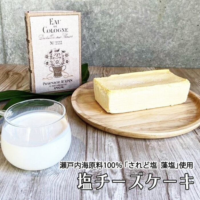 【500円OFFクーポン対象】ランタナフードサービス 株 Story of cheesecake. 塩チーズケーキ≪熨斗対応不可≫ 愛媛のお土産 スイーツ 冷凍チーズケーキ お取り寄せ ストーリーオブチーズケーキ 秋…