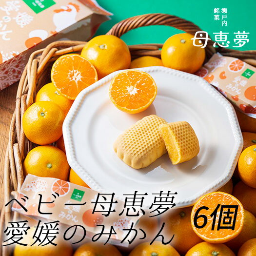 【クーポン利用で20％オフ】【愛媛のお菓子】【人気のお土産】