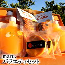 (株)修斗 バラエティーセット≪熨斗対応不可≫ 贈答用 お中元 御中元 プレゼント ギフト 御祝 詰め合わせ セット ゼリーセット バームクーヘン みかんジュー...