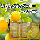 あいさと おひなたみかん みかんタルトクッキー 12枚 熨斗対応不可 愛媛 お土産 お菓子 クッキー みかん 個包装 プレゼント 受験 糖分 糖質 補給