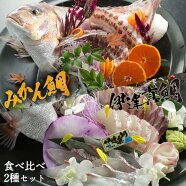 宇和島プロジェクトみかん鯛＆伊達真鯛お刺身食べ比べセット