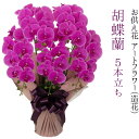 蘭（ラン） 胡蝶蘭 5本立ち お供え花 アートフラワー（造花） ピンク 花台付き 高さ約70cm 【送料無料】【お盆用品 仏具 お彼岸 お供え お盆 飾り 花 花束 フラワー アレンジメント 花器付き ギフト 贈り物 進物 贈答】